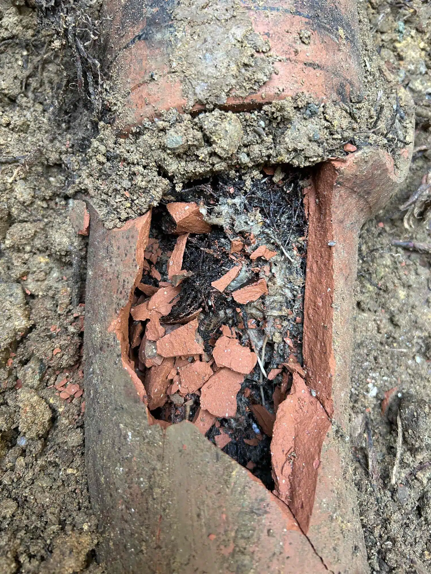 Broken Sewer Line Before Repair in Oroville, CA Broken sewer line before repair in Oroville, CA by Earl's Plumbing