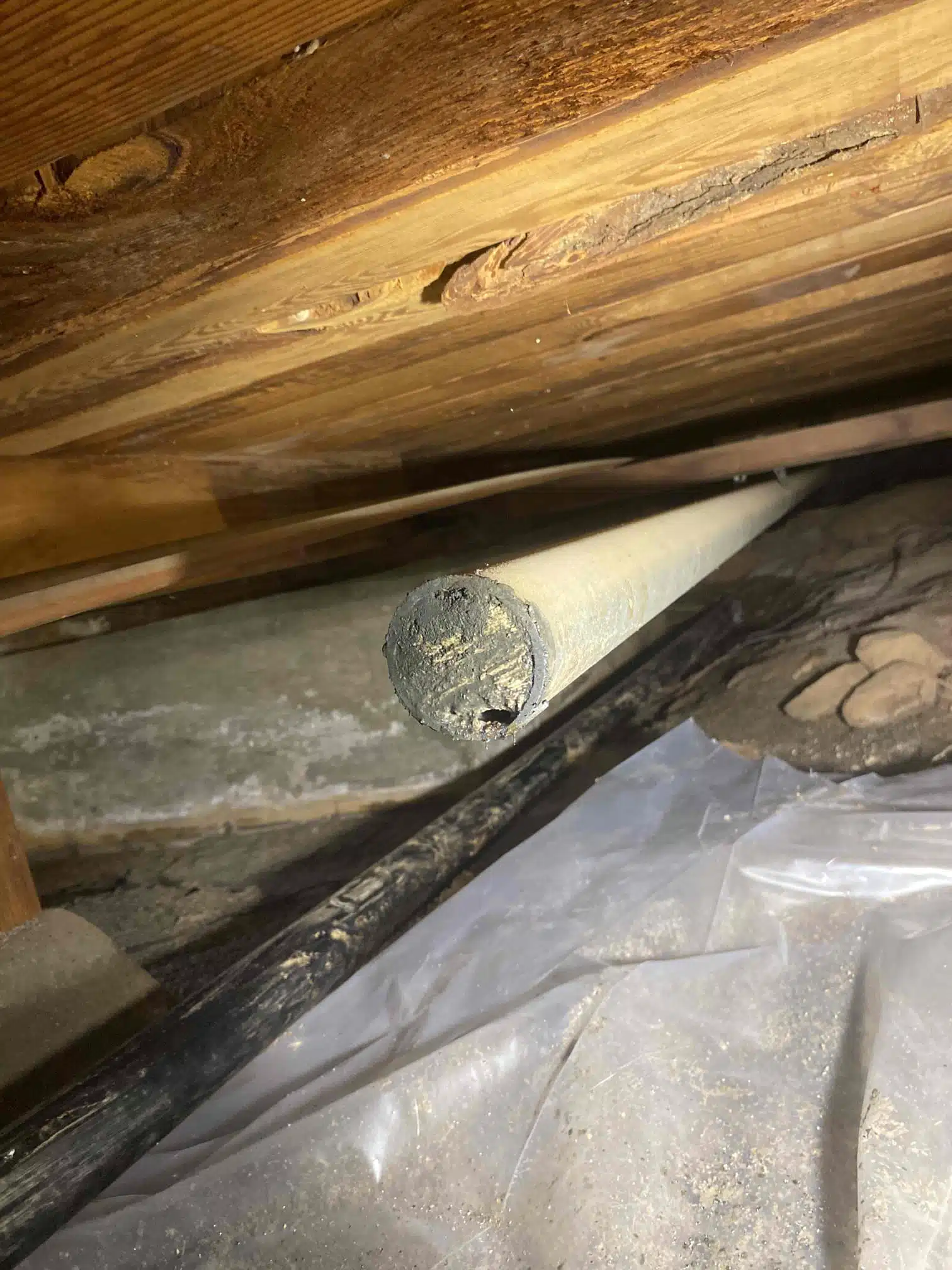 Under-Home Drain Line Before Replacement in Oroville, CA Old under-home drain line before replacement in Oroville, CA