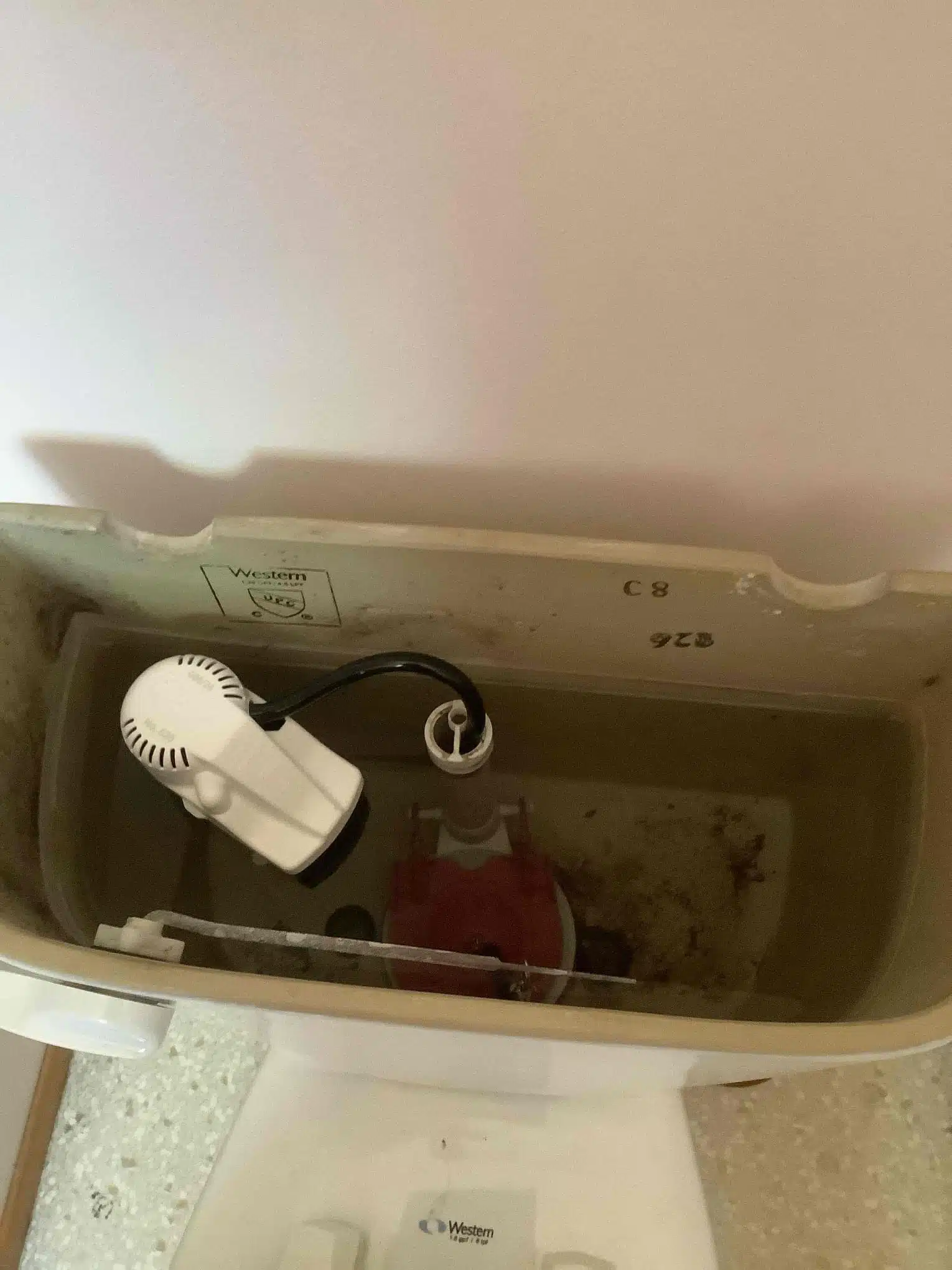Mineral and Sediment Buildup in Toilet Tank Mineral and sediment buildup inside a toilet tank from water quality issues