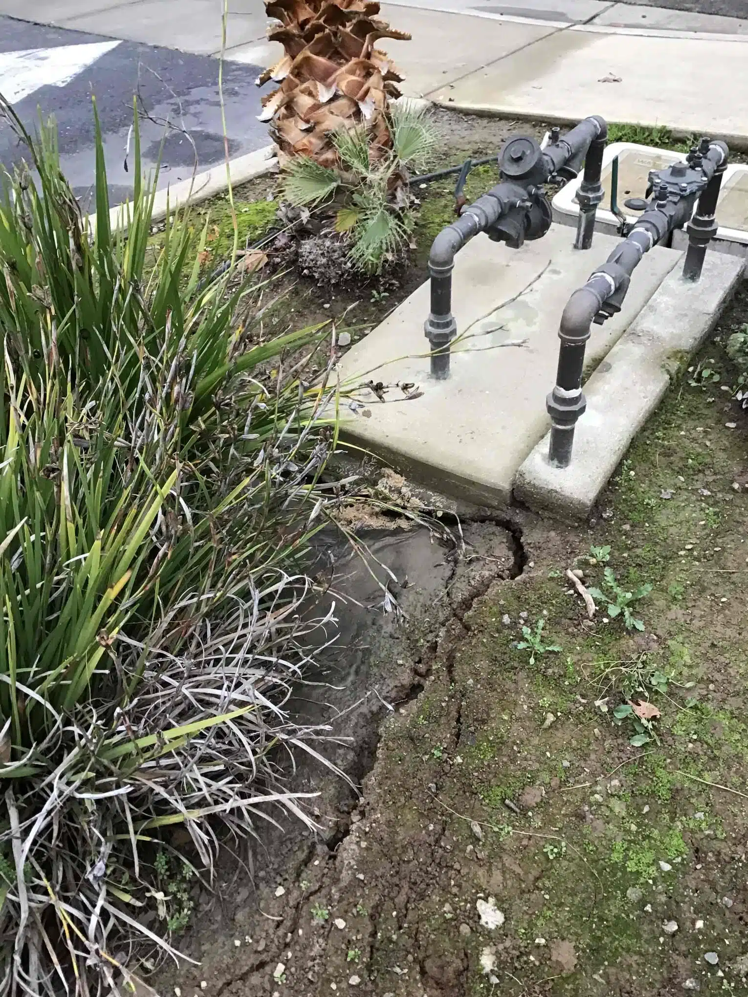 Signs of an Underground Water Line Leak Before Excavation Wet ground and soil movement before underground water line repair