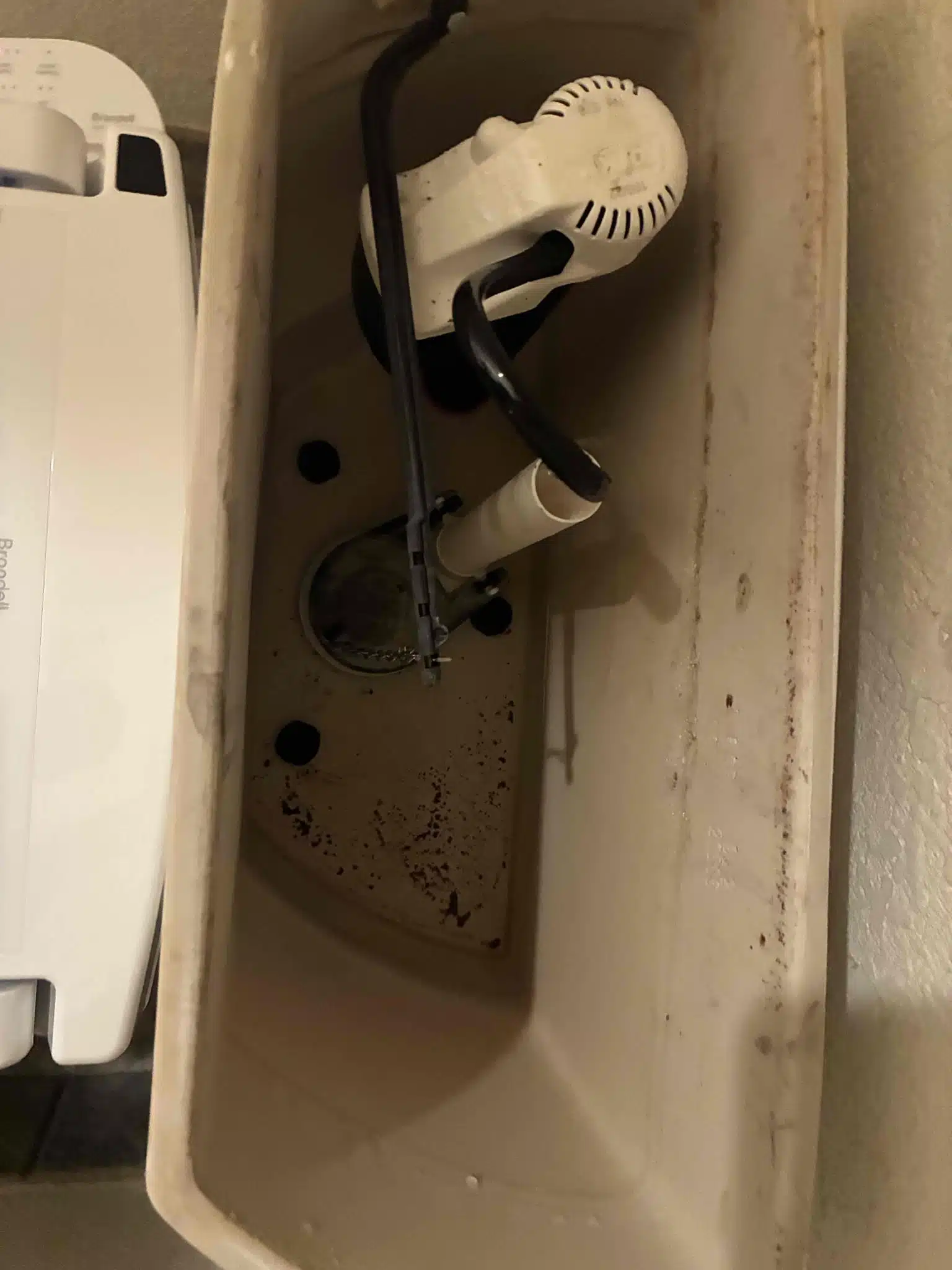 Before photo of worn toilet tank internals before a major toilet rebuild by Earl's Plumbing