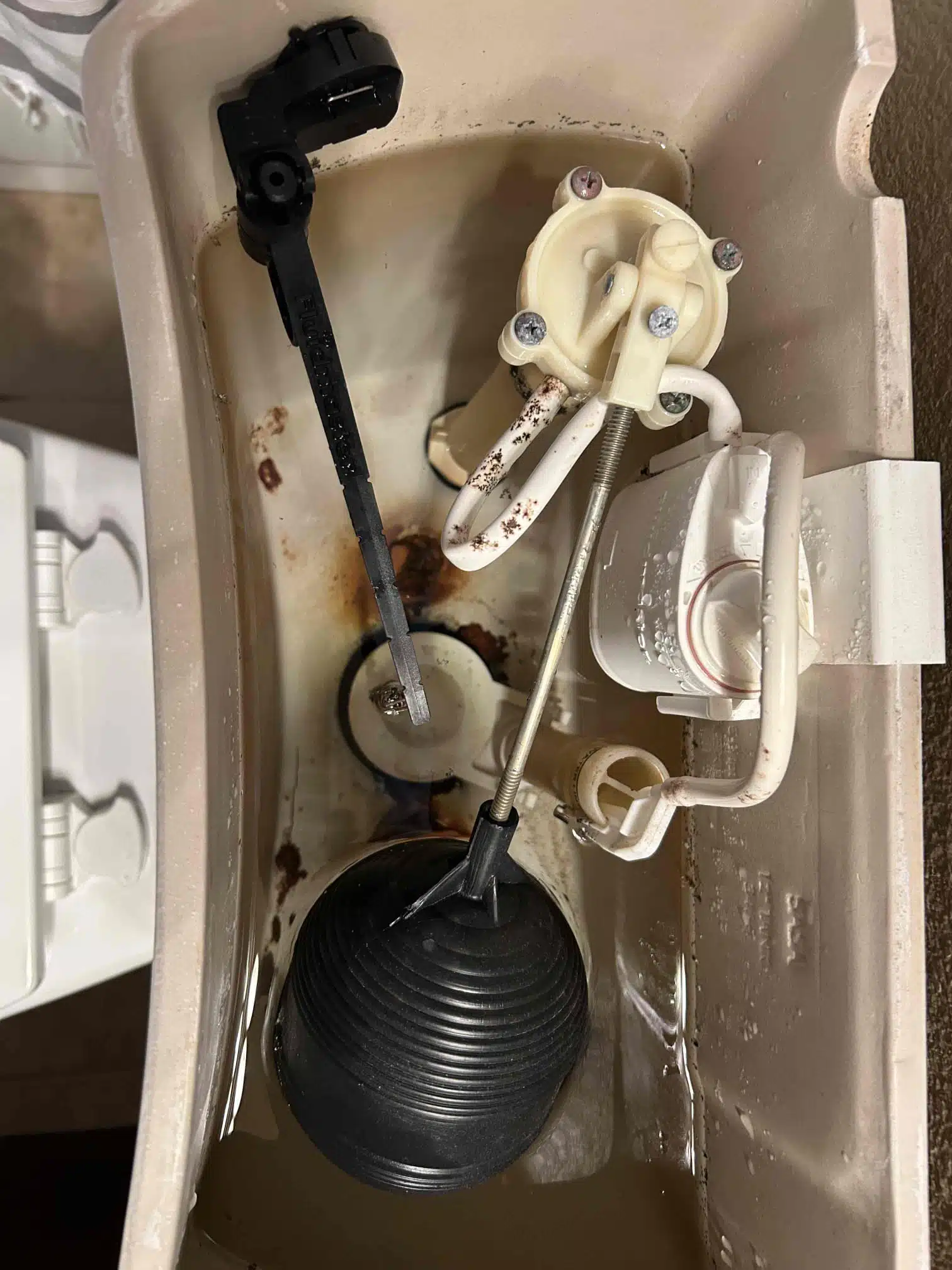 Before photo of old toilet tank flush mechanism in Yuba City by Earl's Plumbing